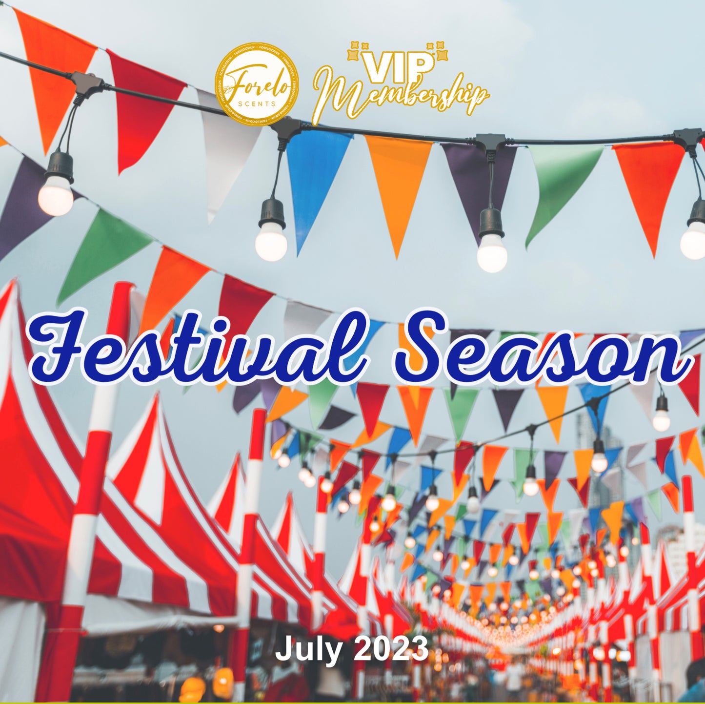 Festival Season 2023 Edition Wax Melt Box Bundle (4 x 100g)