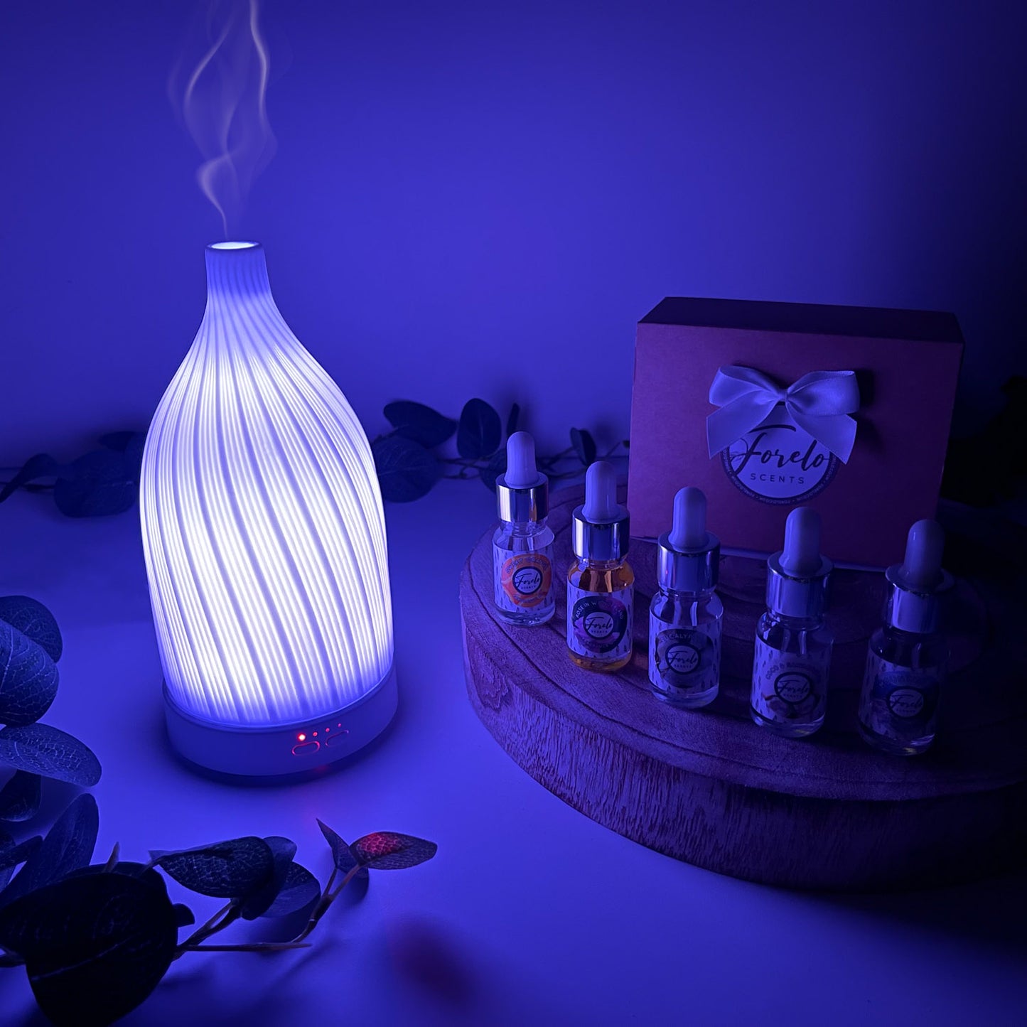 Fragrance Oil & Diffuser Gift Set