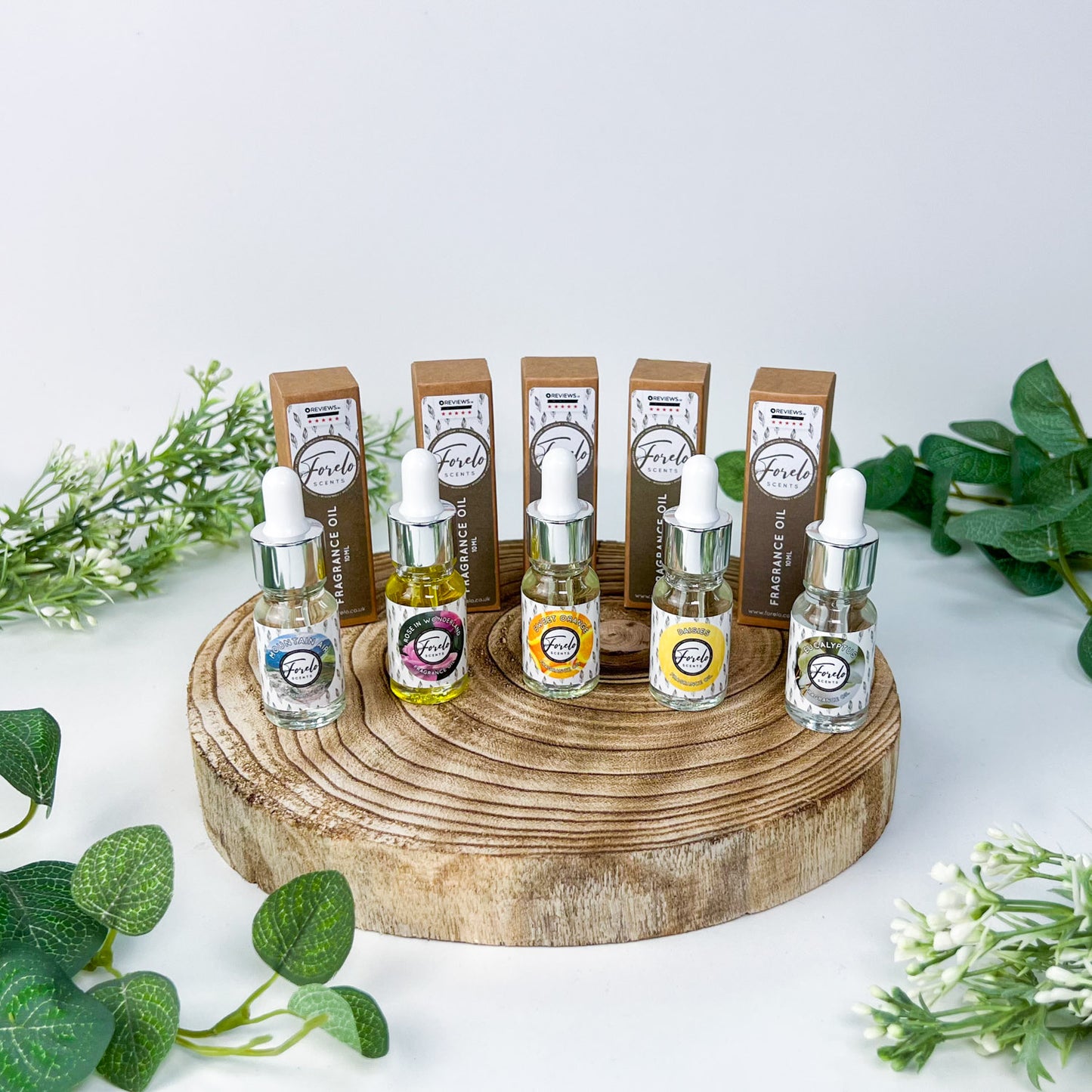 5 Fragrance Oil Pack