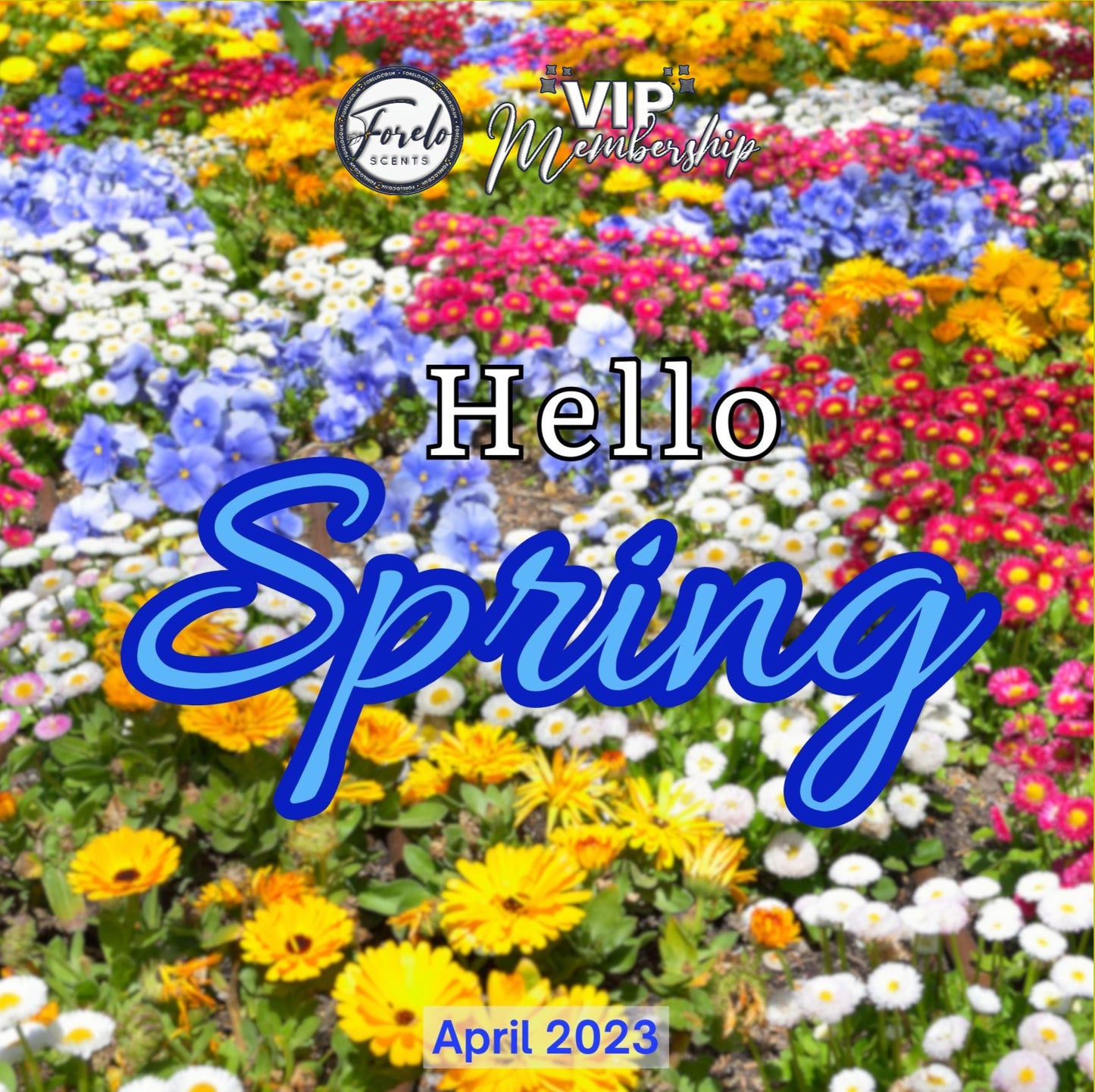 Spring Special Wax Melts Large Variety Box