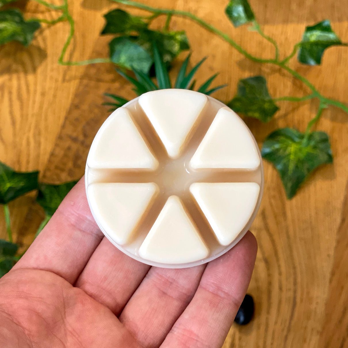 Butterfly Burner & Wax Melt Bundle - Forelo Scents