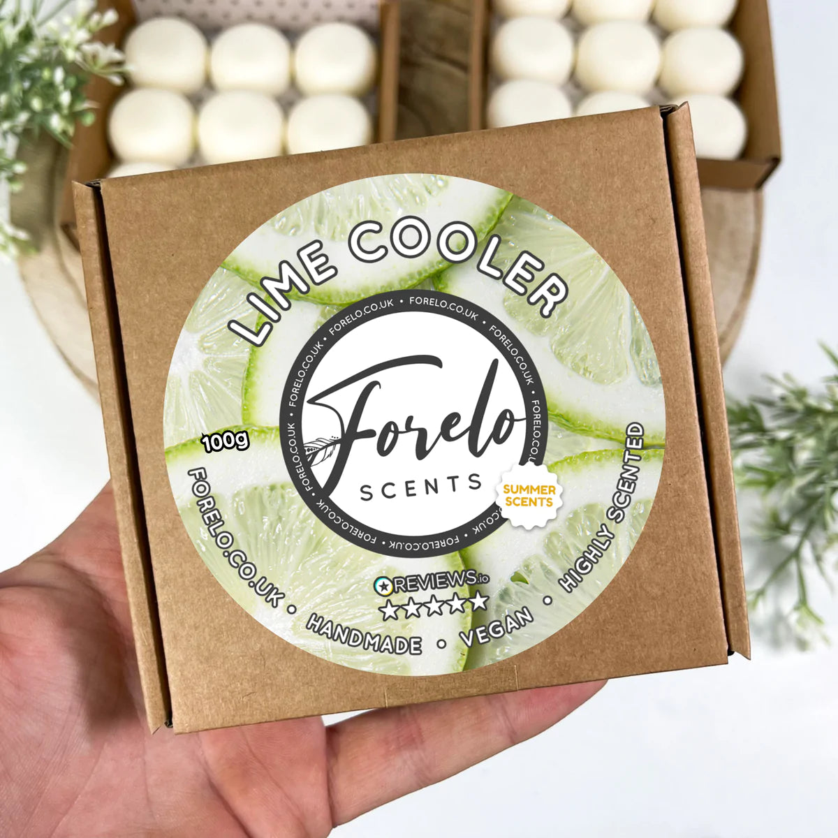 Summer Soy Wax Melt Box Bundle (4 x 100g)