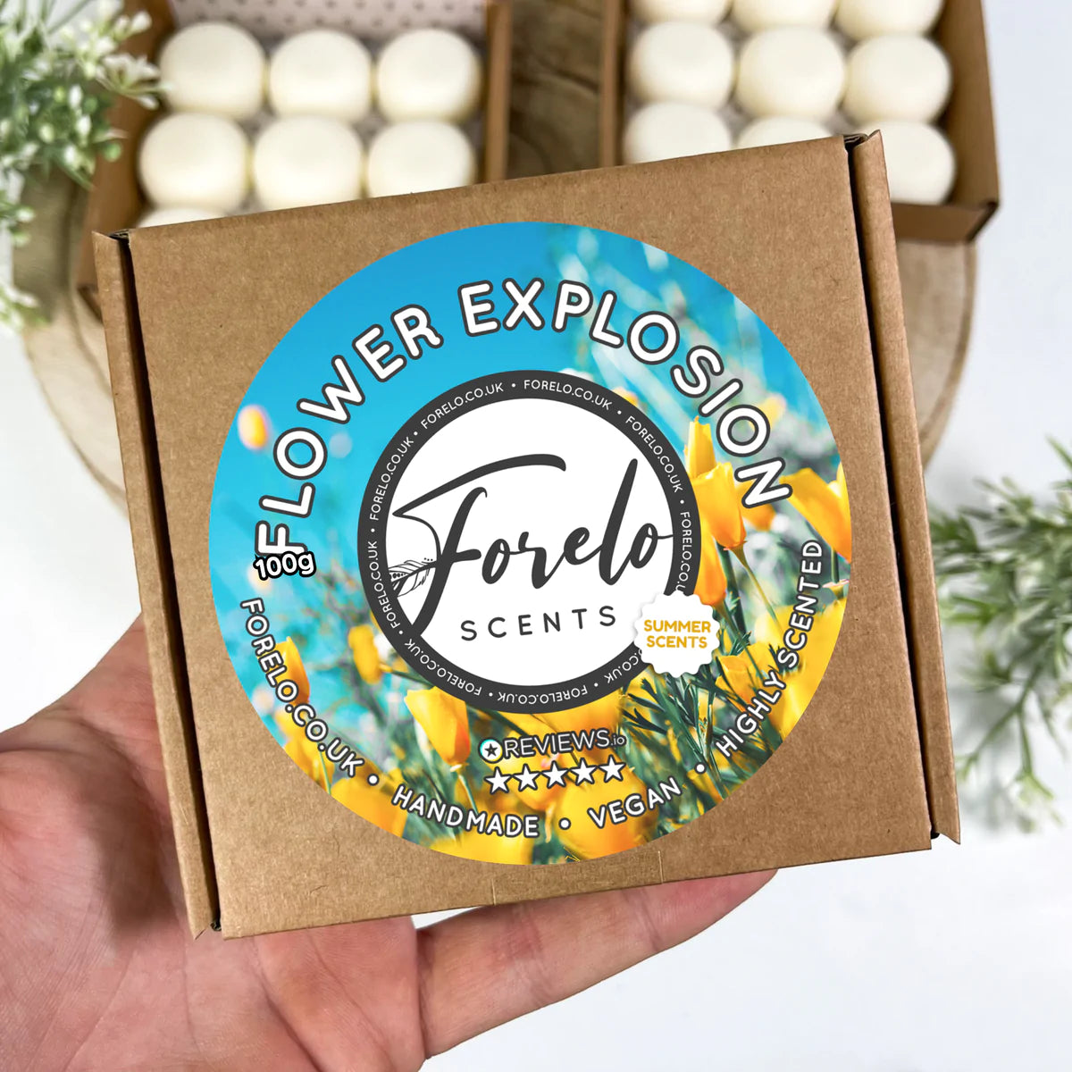 Summer Soy Wax Melt Box Bundle (4 x 100g)