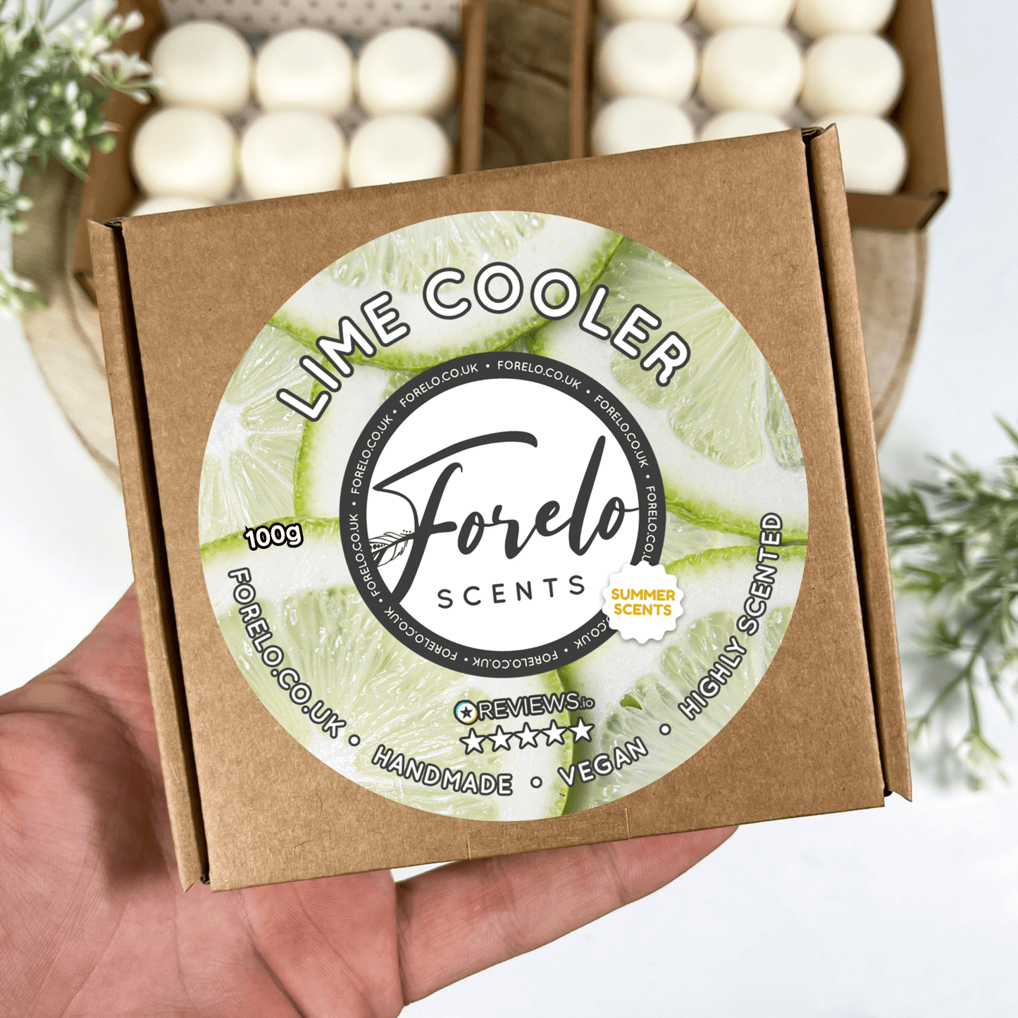 Lime Cooler Soy Wax Melt - Forelo Scents