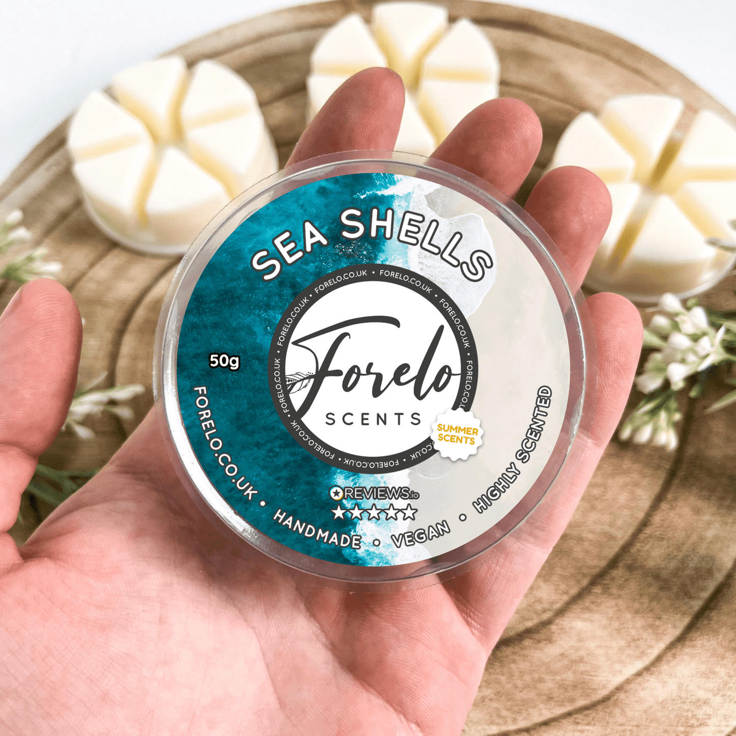 Sea Shells Soy Wax Melt - Forelo Scents