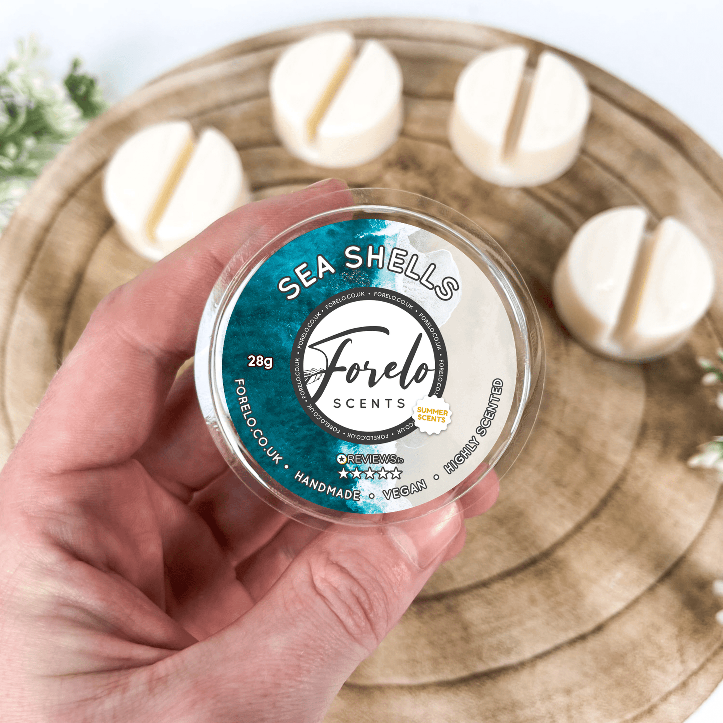 Sea Shells Soy Wax Melt - Forelo Scents
