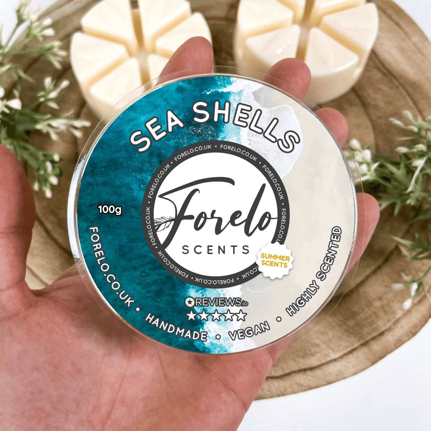 Sea Shells Soy Wax Melt - Forelo Scents