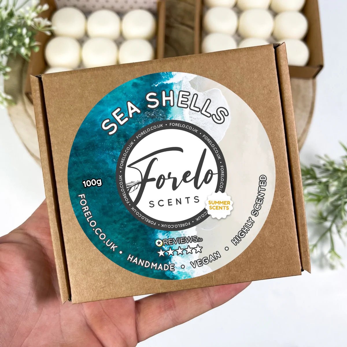 Summer Soy Wax Melt Box Bundle (4 x 100g) - Forelo Scents