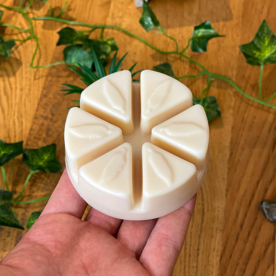 Large Wax Melt Gift Pack