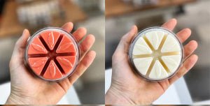 Festival Season 2023 Edition Wax Melt Box Bundle (4 x 100g) - Forelo Scents