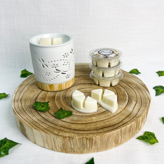 Dragonfly Burner & Wax Melt Bundle
