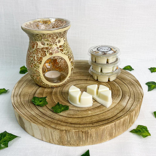 Crackle Glass Burner & Wax Melt Bundle - Forelo Scents
