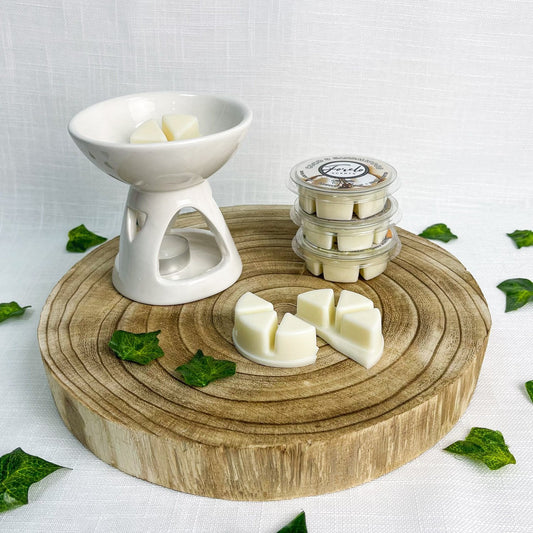 Deep Bowl Ceramic Burner & Wax Melt Bundle - Forelo Scents