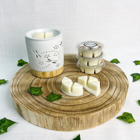 Dragonfly Ceramic Burner & Wax Melt Bundle - Forelo Scents