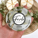 Aromatherapy Eucalyptus Wax Melts for Home Fragrance - Forelo Scents