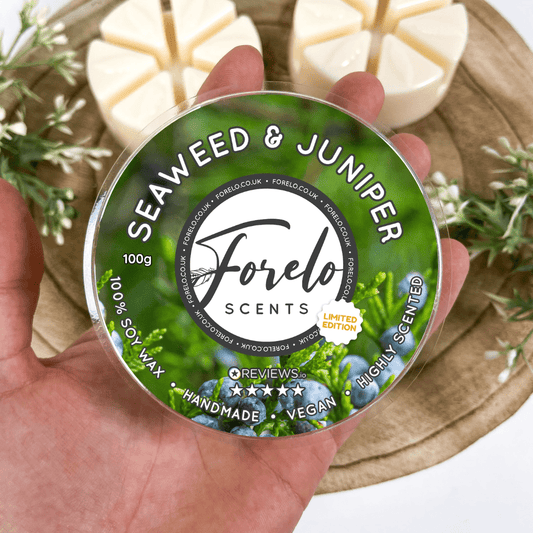 Seaweed & Juniper Home Fragrance Soy Wax Melt – Fresh & Invigorating - Forelo Scents