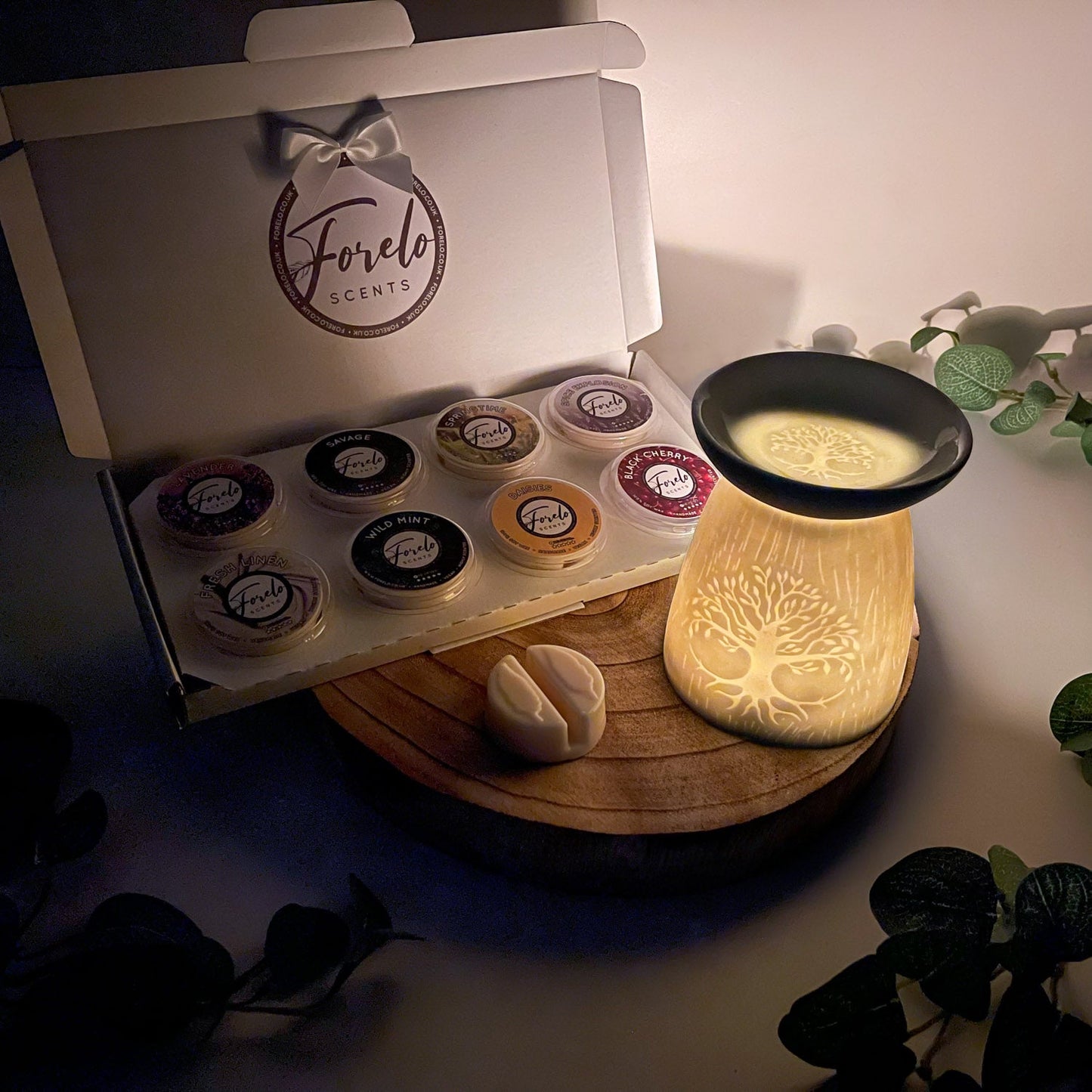 Wax Melt Sample Box & Burner Gift Set - Forelo Scents